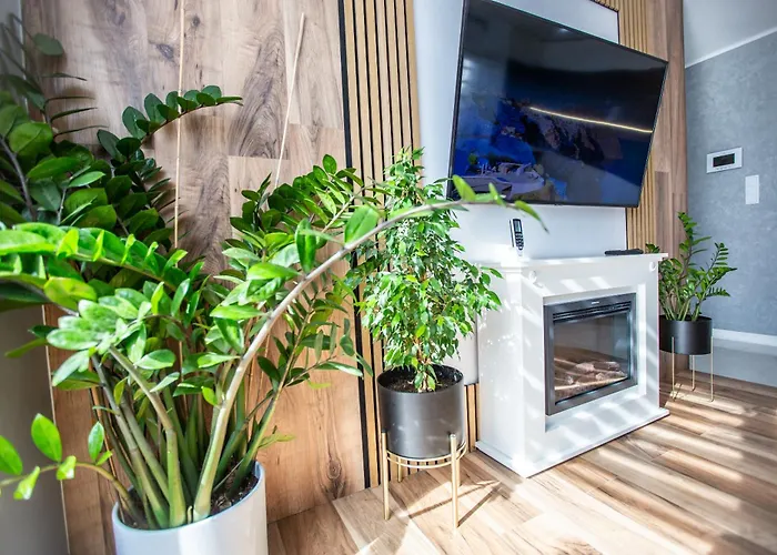 Apartman Wlodarska 4a Premium Krakkó